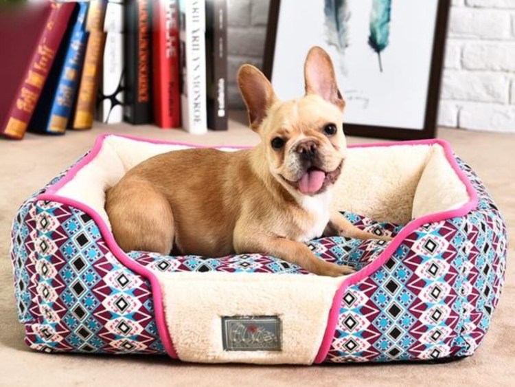 Лежанка для бульдога