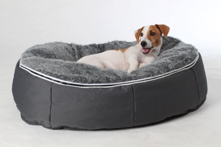 Спящие щенки французского бульдога