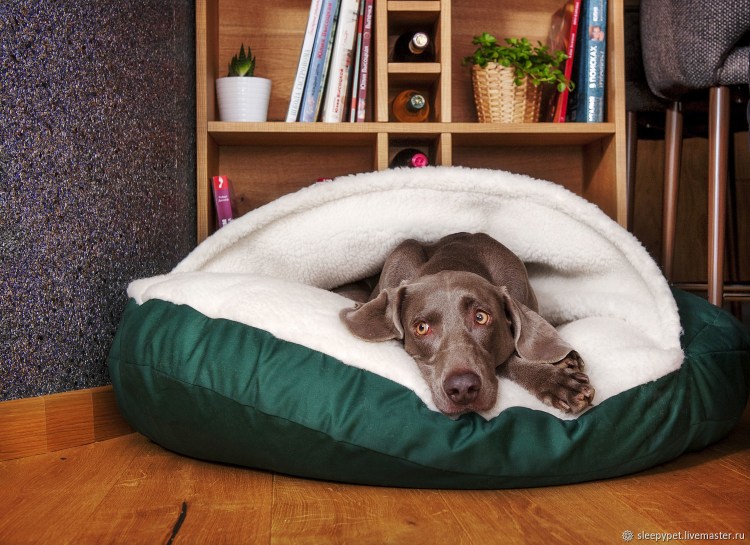 Лежанка норка для собаки своими руками