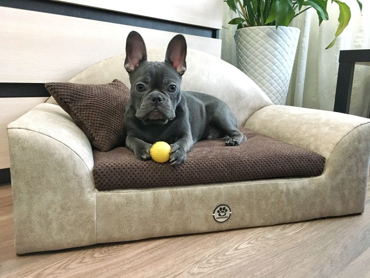 Лежанка для французского бульдога