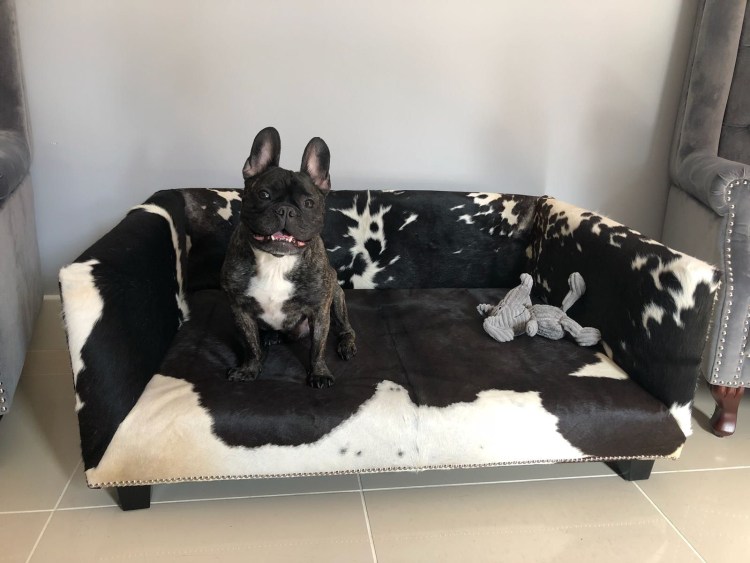 Лежанка для французского бульдога