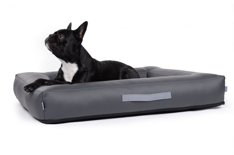 Лежанка для собаки в интерьере