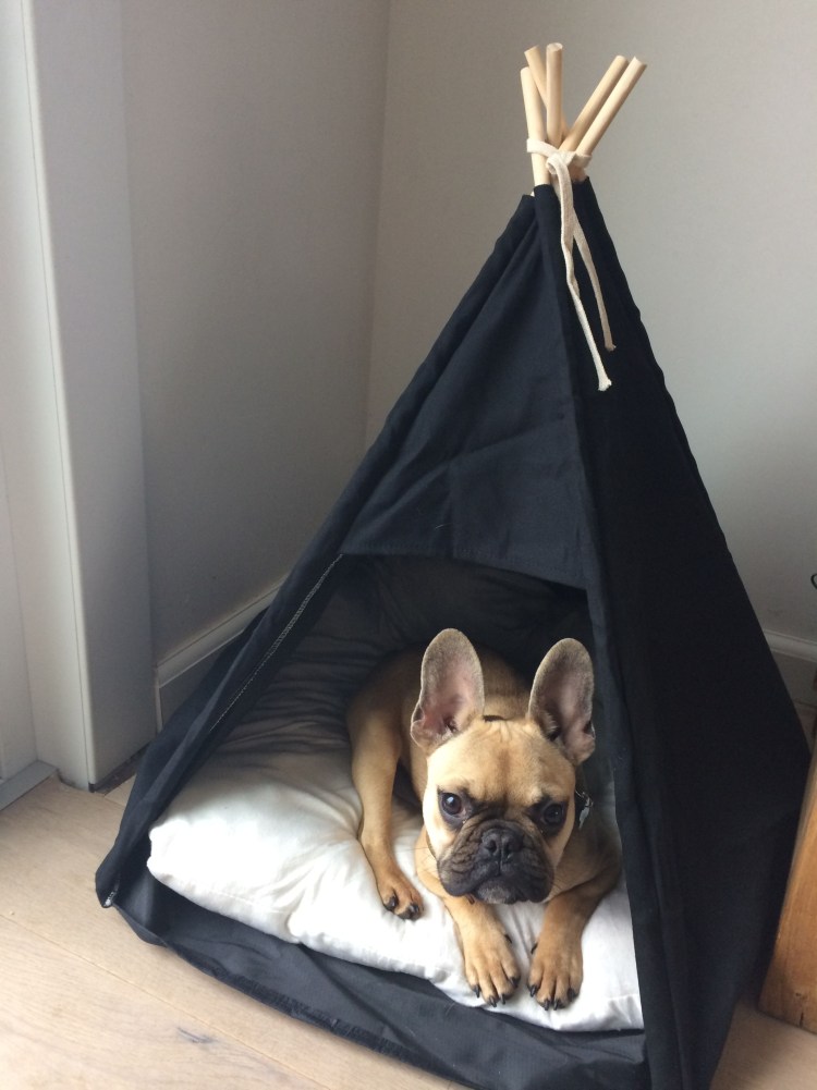 Лежанка для французского бульдога