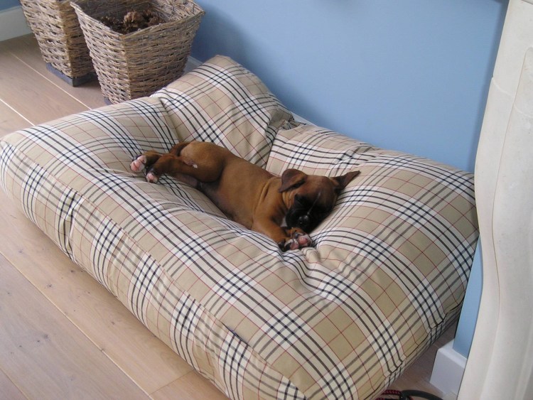 Лежанка трикси 38081 французский бульдог