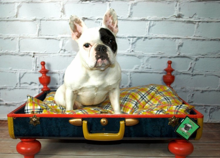 Размер лежака для французского бульдога