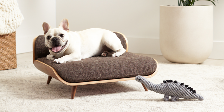 Корзинки для французского бульдога для сна