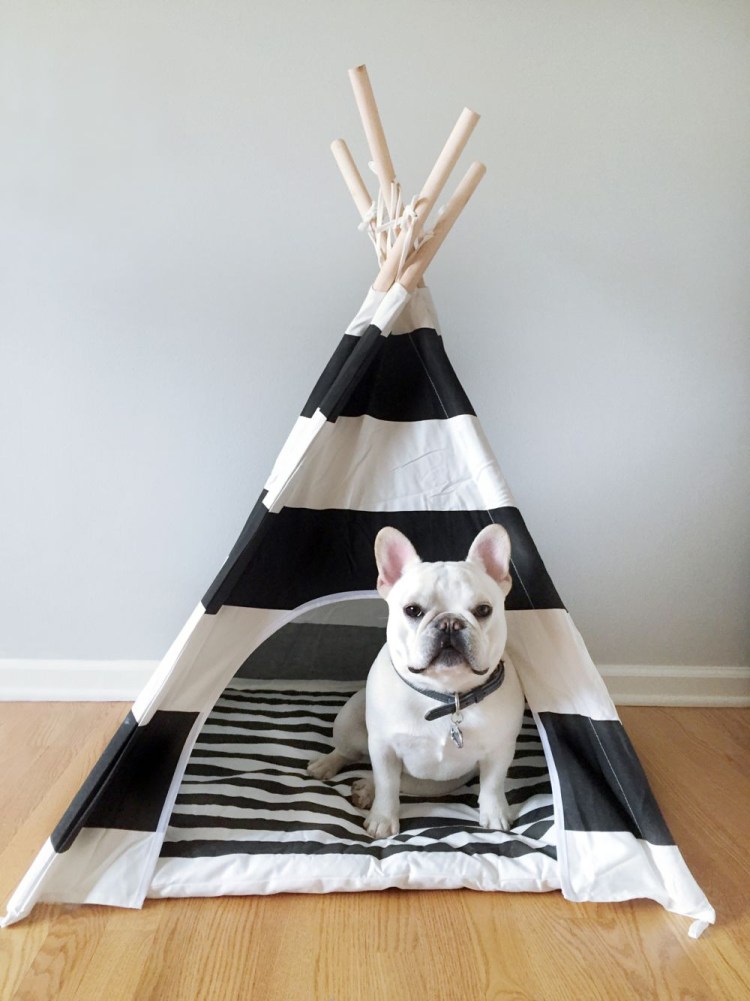 Лежанка для собак Звездные войны