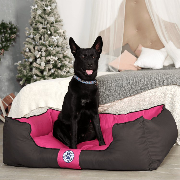 Pet Bed