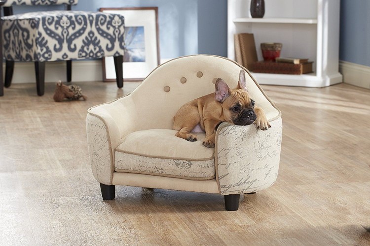 Комбинезон ZOOTREND "Франц.бульдог"