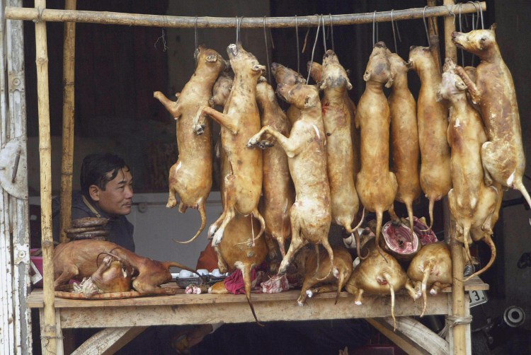 Породе нуреонги