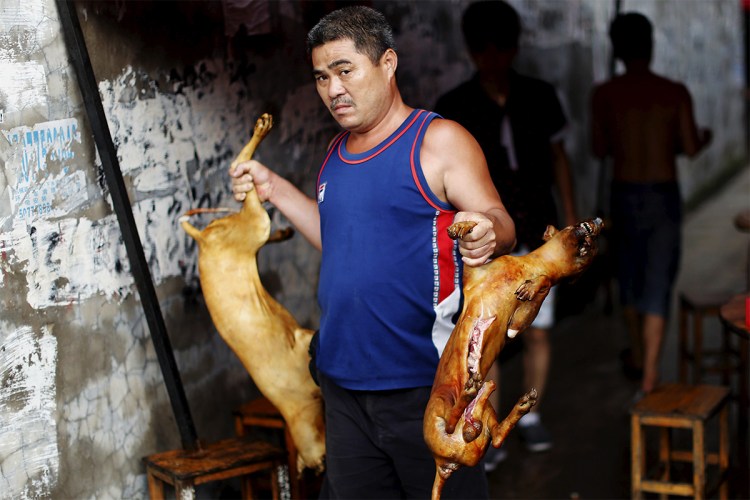 Собачатина на рынке Китая