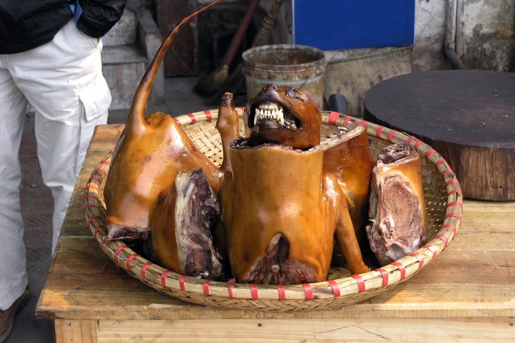 Фестиваль поедания собак и собачьего мяса в Китае