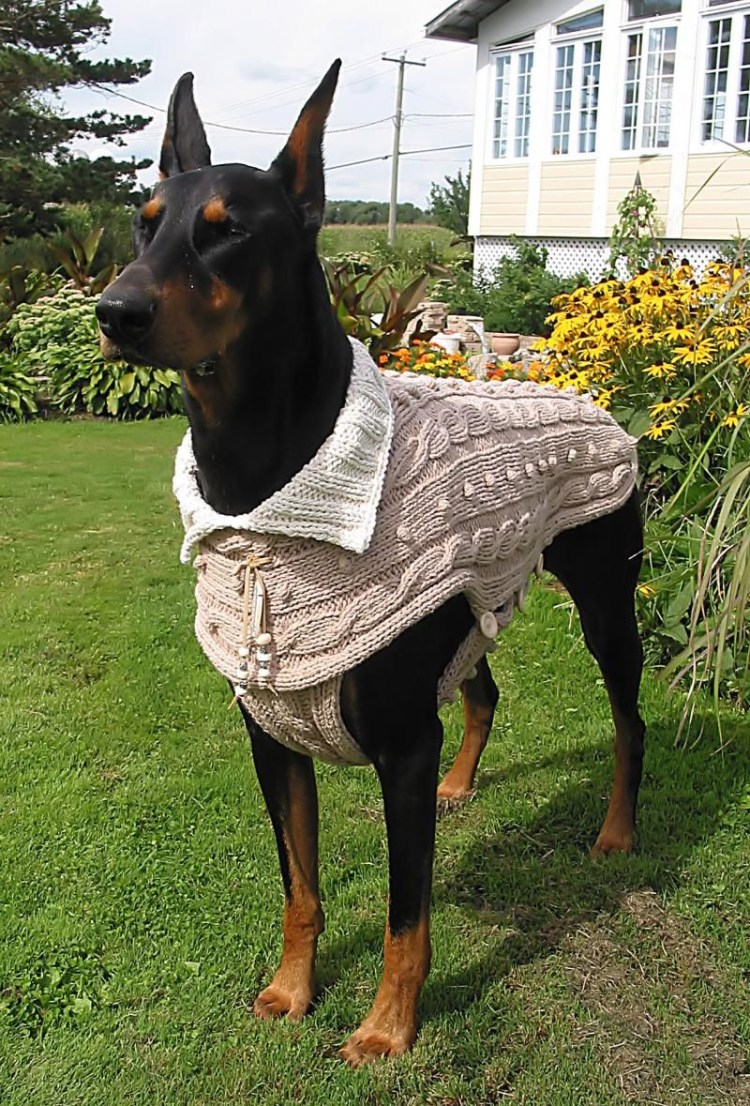 Вязаный Доберман пинчер