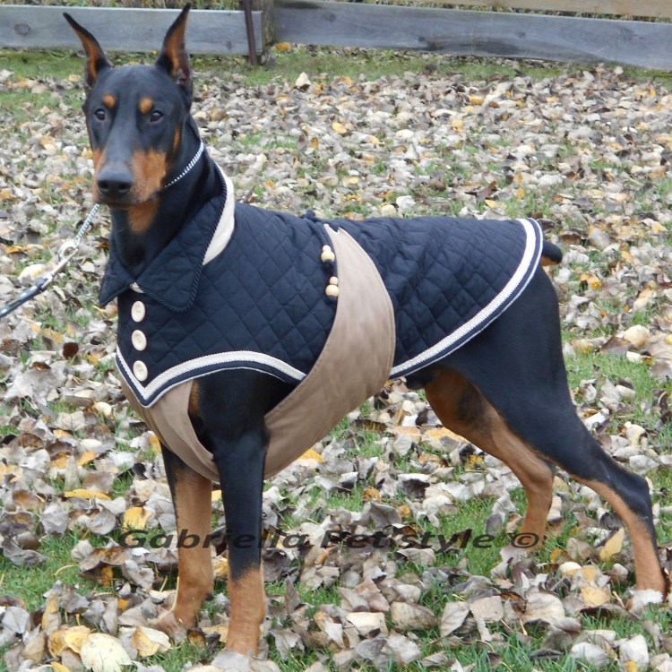 Одежда для собак Доберман