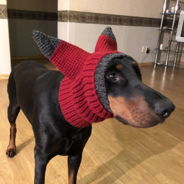 Шапка для добермана