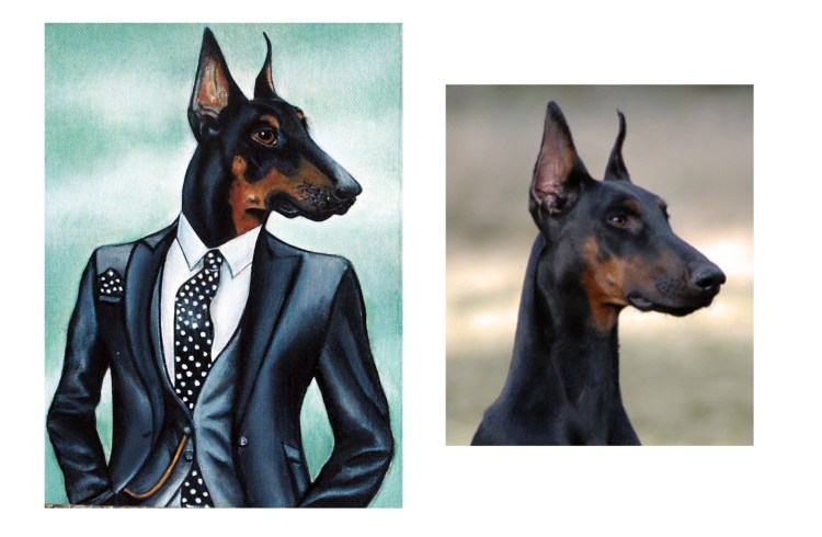 Комбинезон для добермана