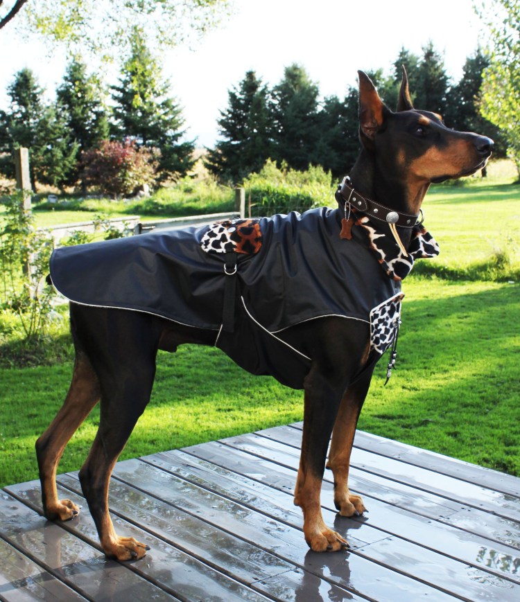 Костюм для добермана зимний