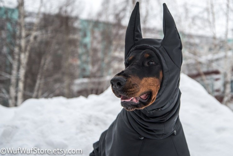 Жилет ЗКС 2 для добермана