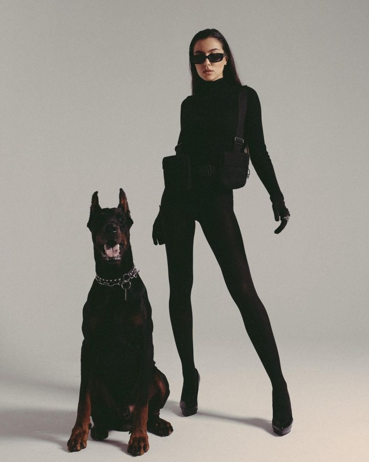 Доберман портрет