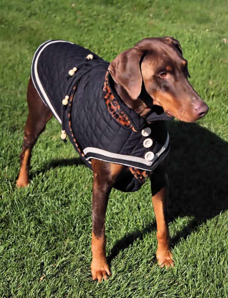 Triol комбинезон Доберман зима, 66 см