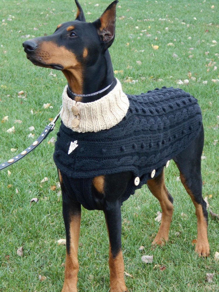 Вещи для добермана