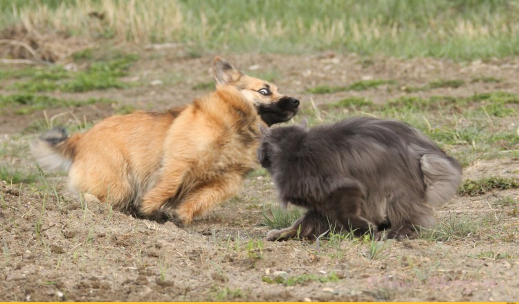 Клапан электропневматический 638м.101.а63s04.PS