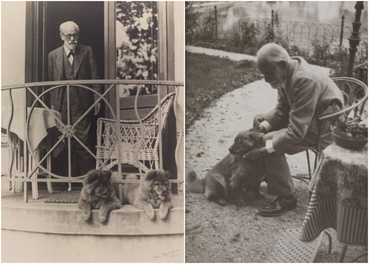 Зигмунд Фрейд с собакой