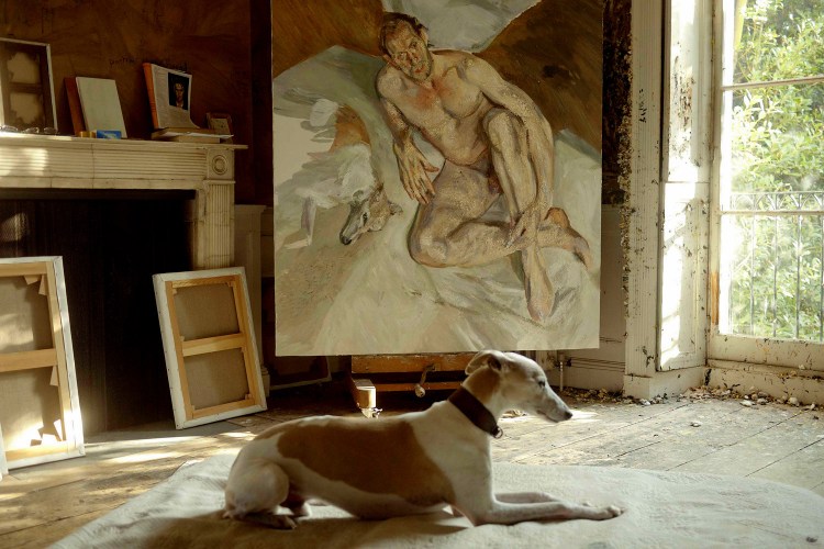 Порода Бернский зенненхунд