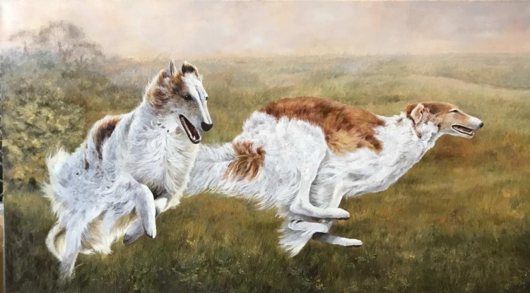 Русская псовая борзая нос