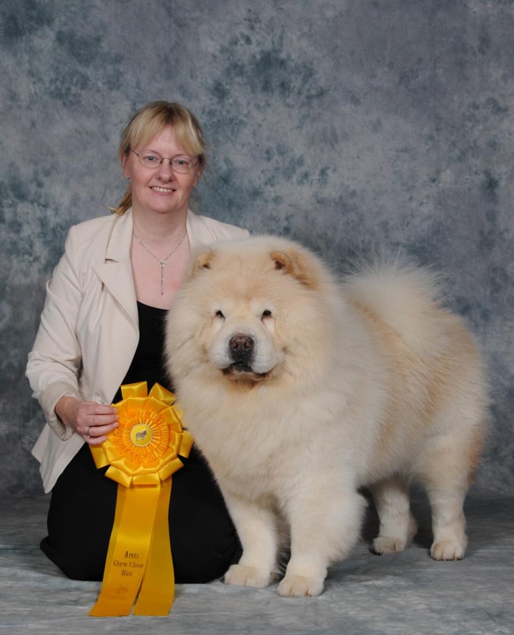 Брошенные Чао Чао Юрчик Евгений Вадимовны