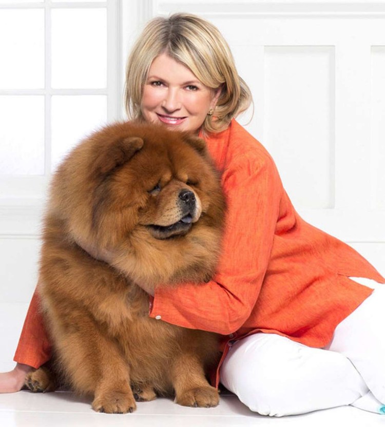 Чау чау рост