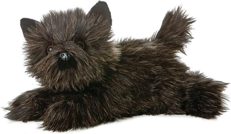 Вейстхалендвест терьер