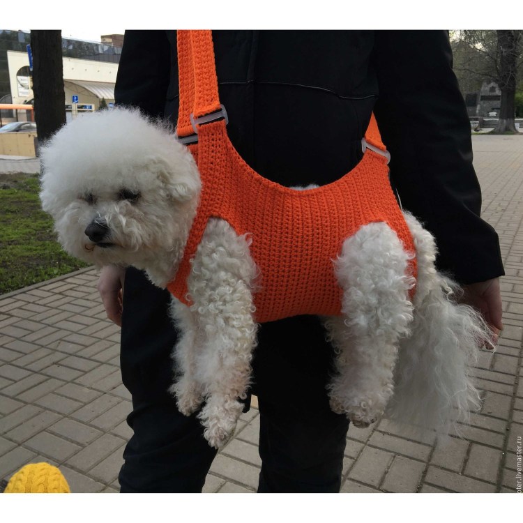 Одежда для маленьких собак