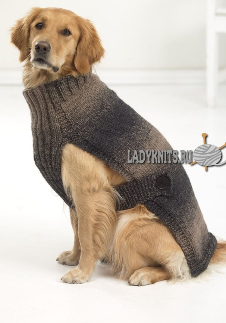 Свитер для собак