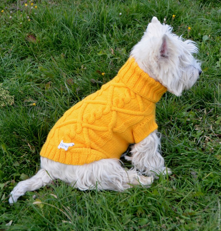 Свитер для собак
