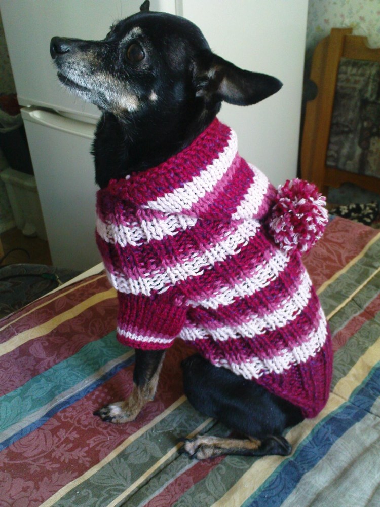 Одежда для собак спицами