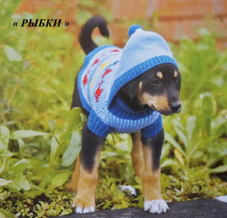 Елена Юдина вязаная одежда для собак