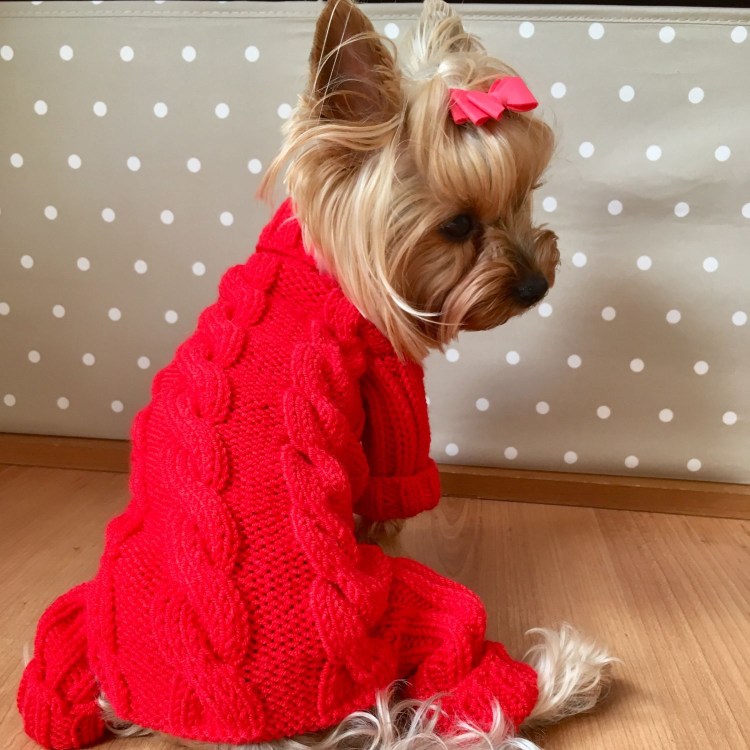 Вязаная одежда для собак