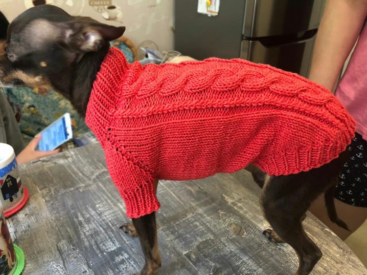 Татьяна Кучерова свитер для собаки