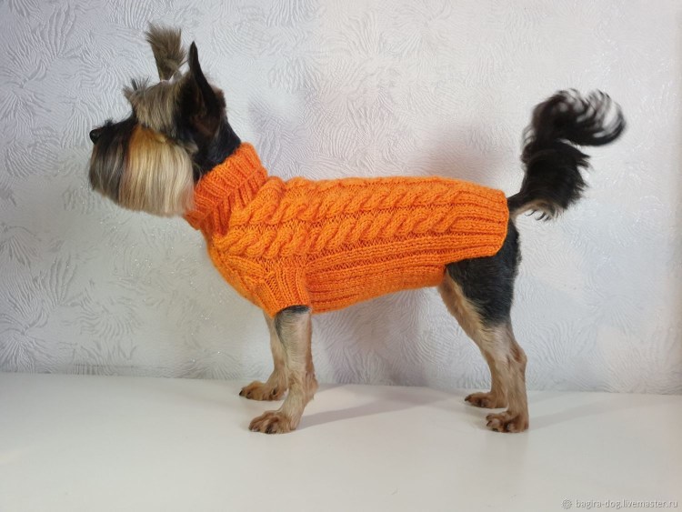 Багира дог одежда для собак