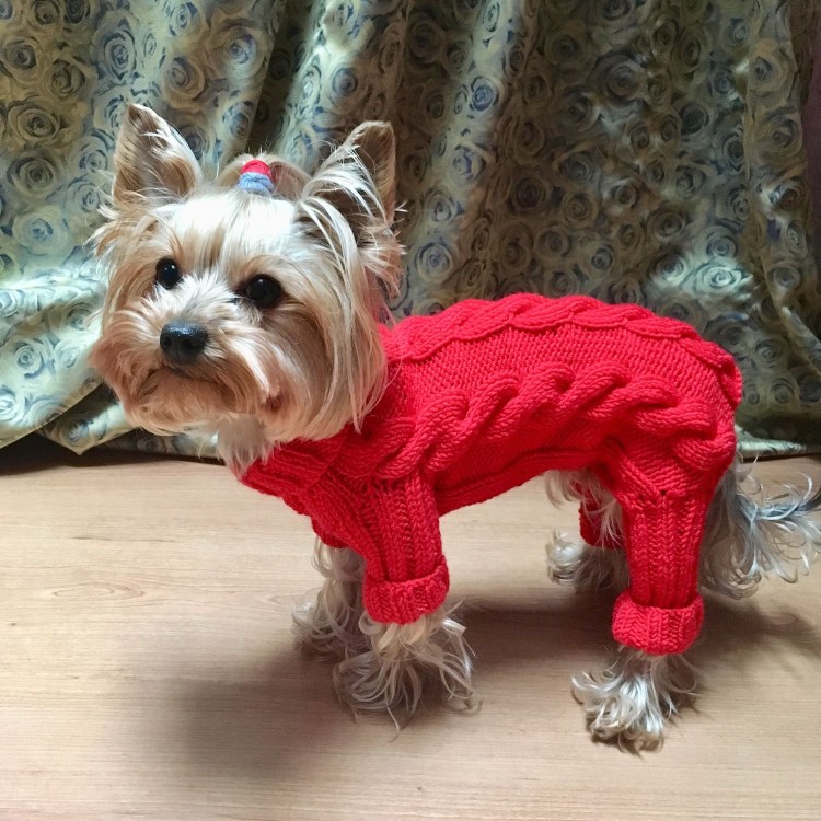 Вязаная одежда для маленьких собак