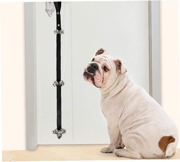 Марти собака