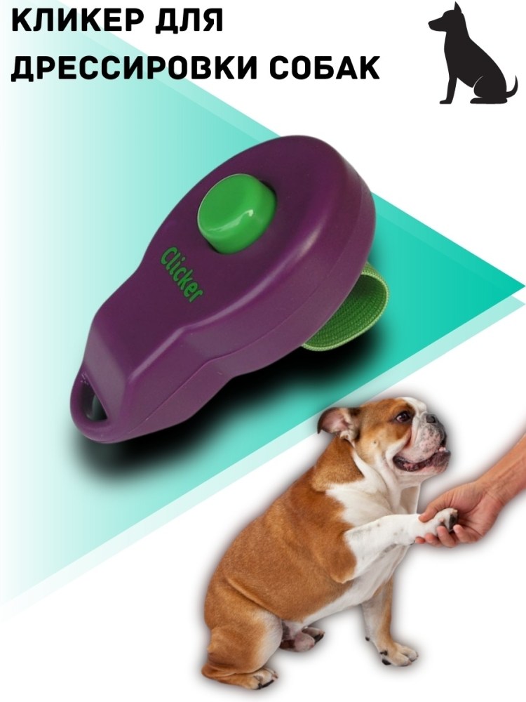 Собака звонит в дверь