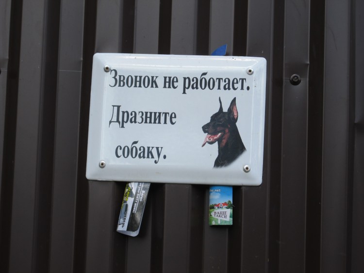 Животные звонят