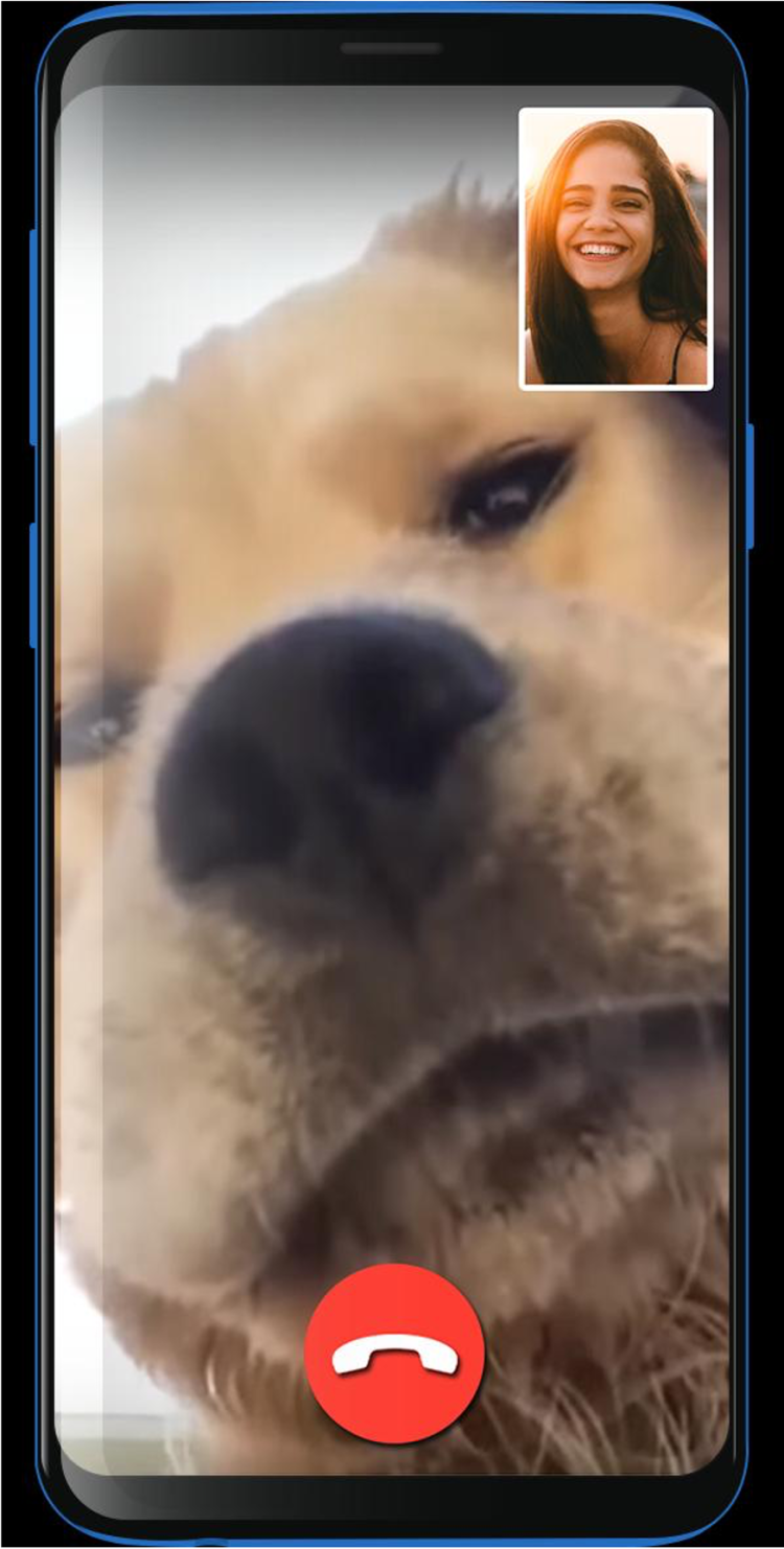 Колокольчик собака