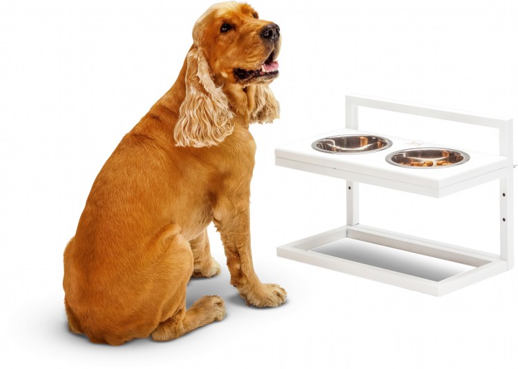 Подставка для корма для собак