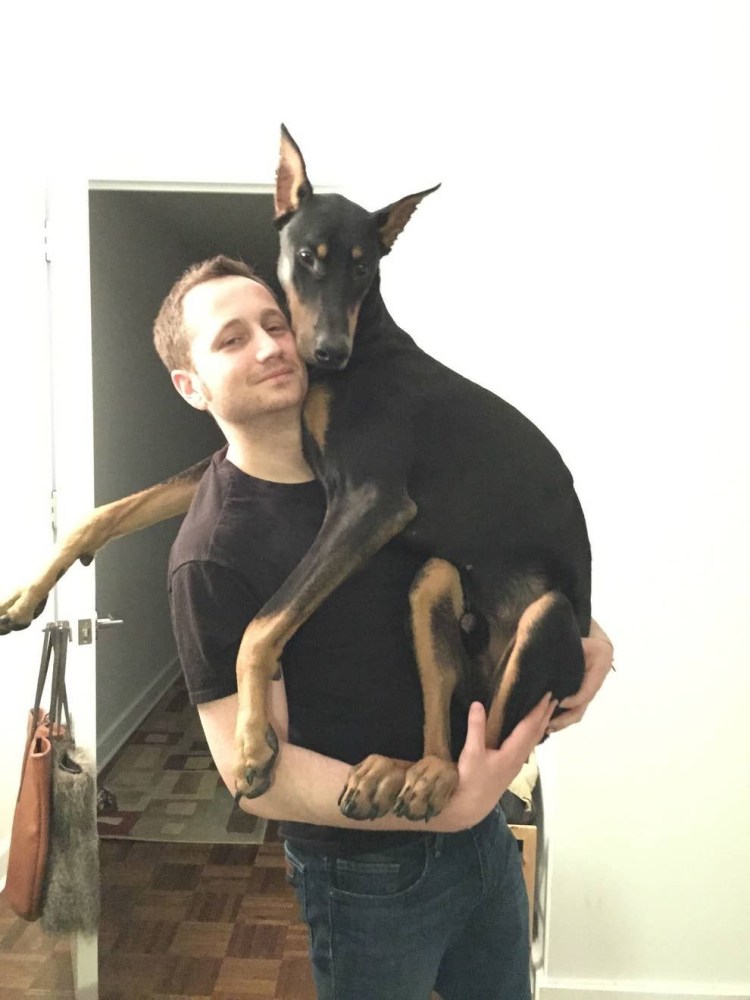 Дом для добермана на участке