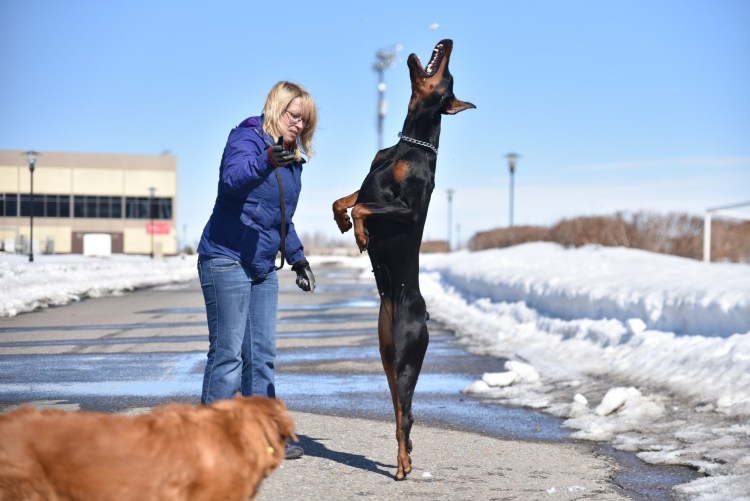 Доберман рэпер