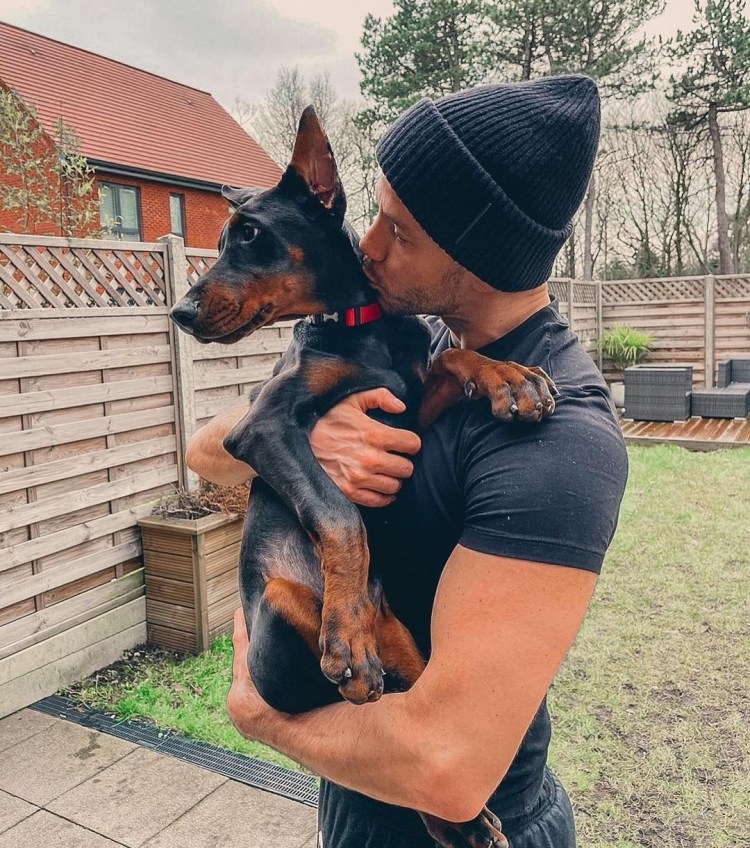 Доберман пинчер дрессировка