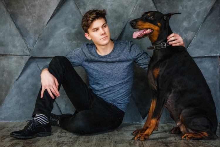 Собака Доберман собака ротвейлер